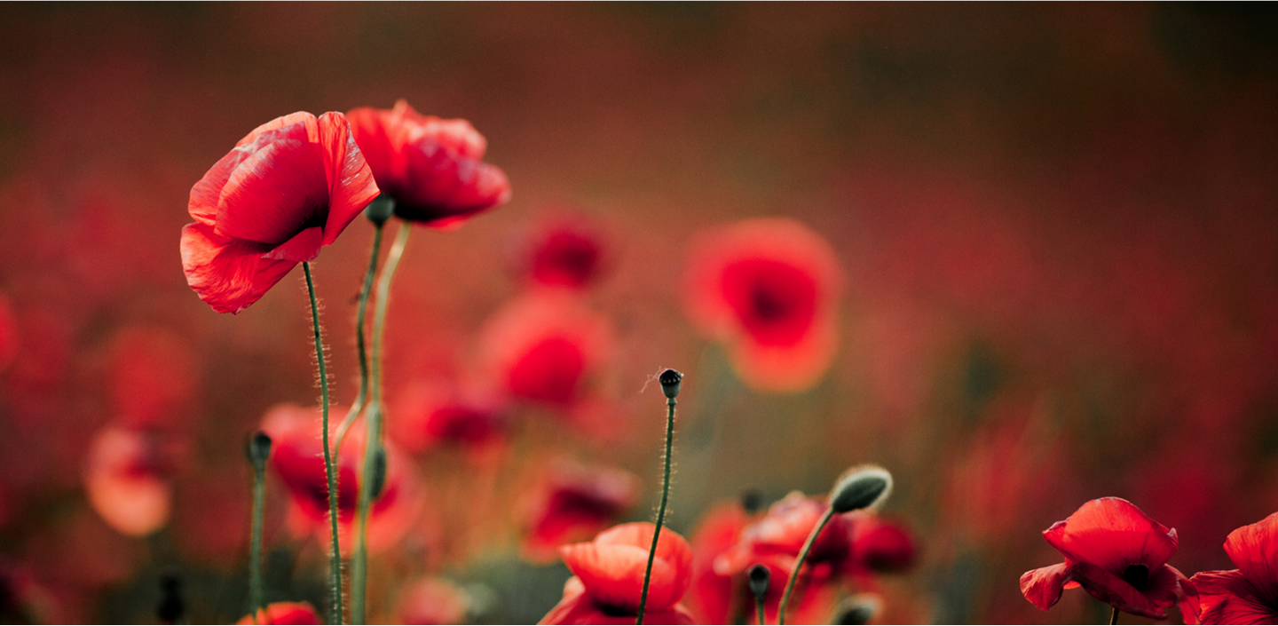 Vision Mission Background